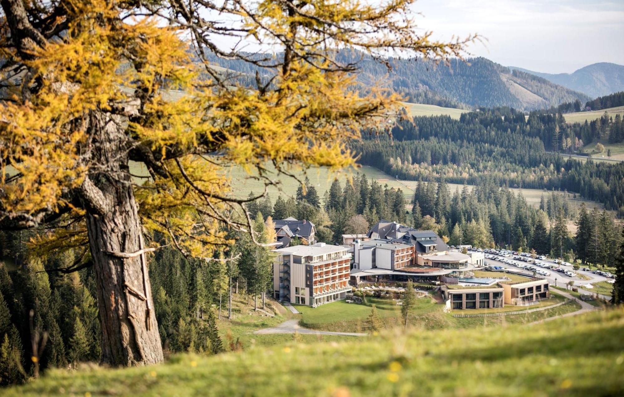 Almwellness Hotel Pierer Fladnitz an der Teichalm Kültér fotó